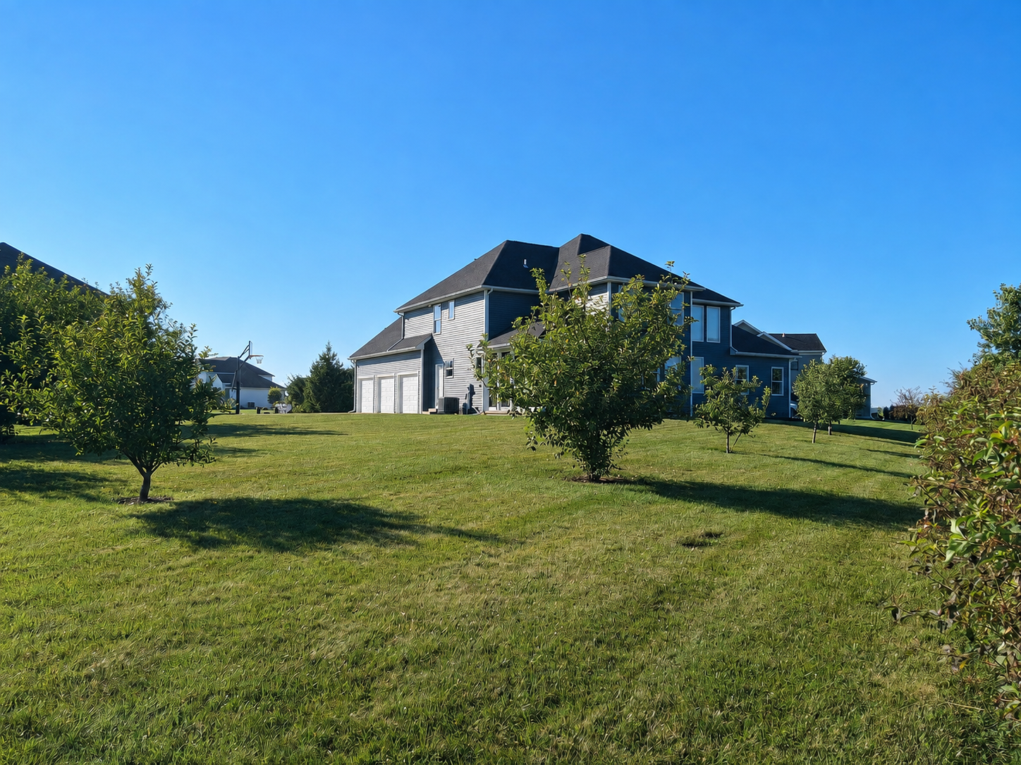 Spacious backyard with mature fruit trees and rear view of the home